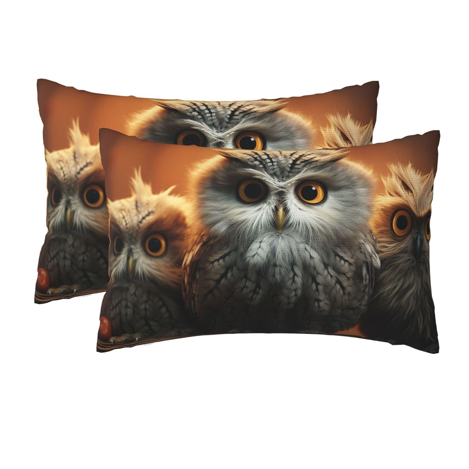 2 Pack Queen Pillow Cases with Hidden Zipper, Soft Breathable Pillow Covers for Hair and Skin, Cute Owl Baby Pillowcases 20"x30" Bed Pillow Protectors Cover for Sleeping Gifts