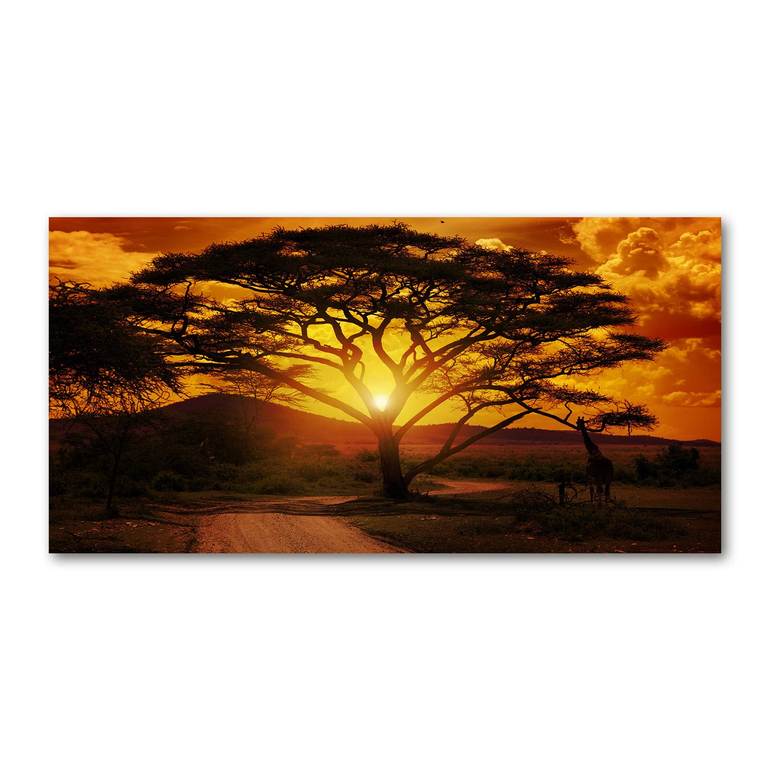 Fond de hotte verre paysage orange pour protéger vos murs - 8