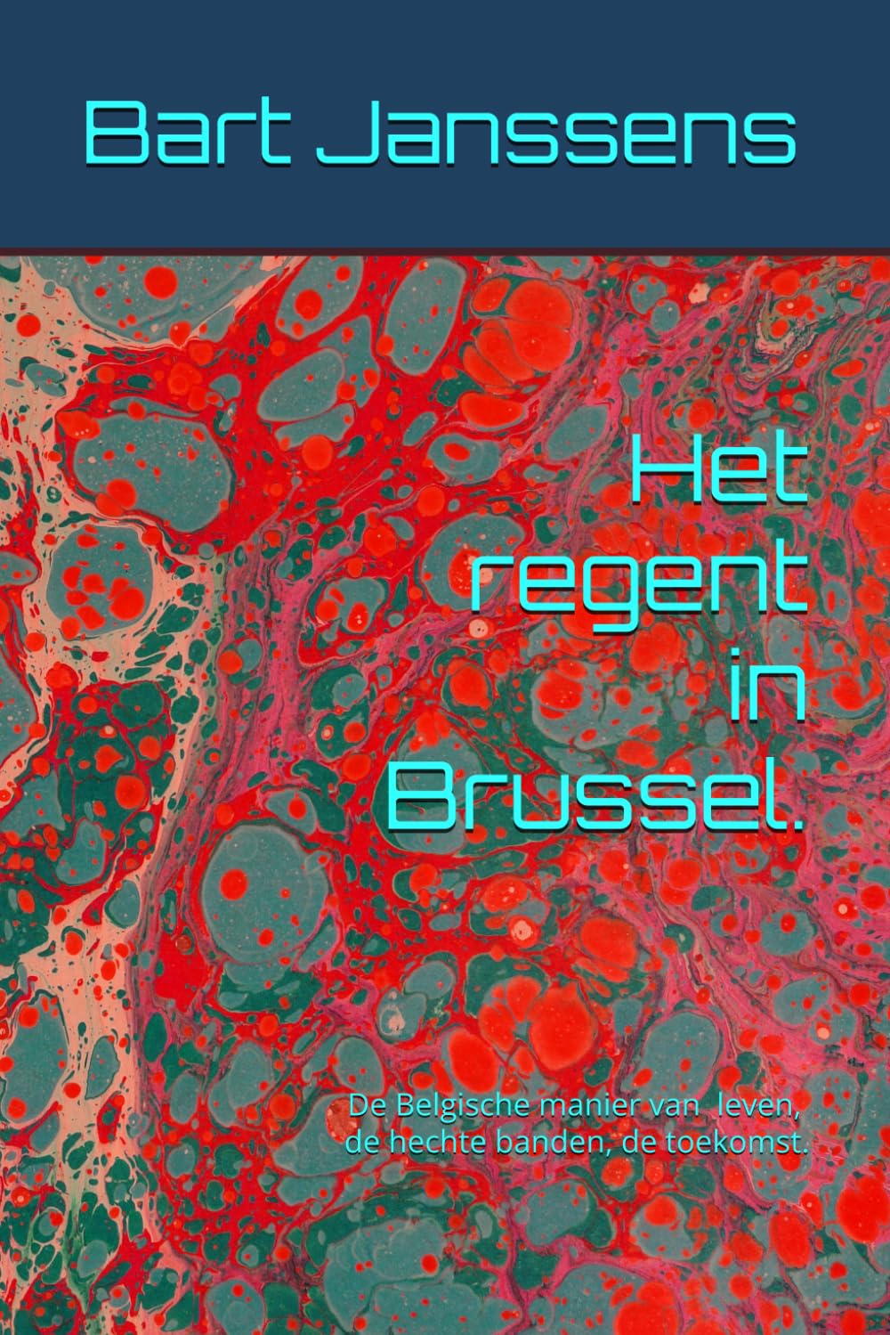 Het regent in Brussel.: De Belgische manier van leven, de hechte banden, de toekomst.