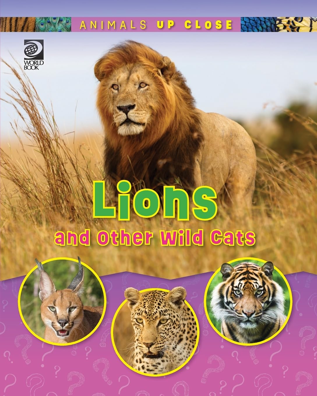 Lions and Other Wild Cats