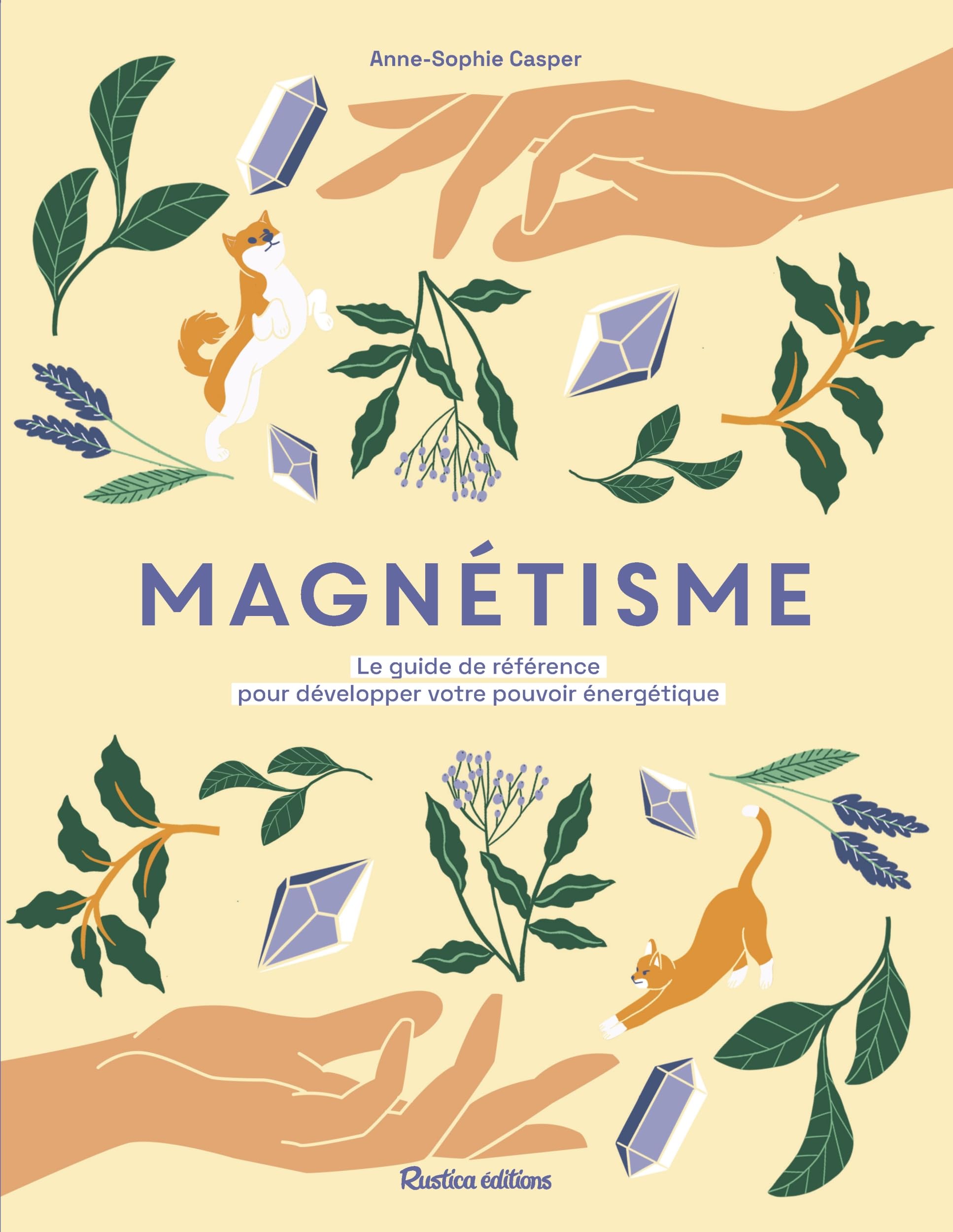 Magnétisme: Le guide de référence pour développer votre pouvoir énergétique