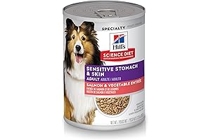 Royal Canin Gastrointestinal Wet Dog Food for Sensitive Stomachs