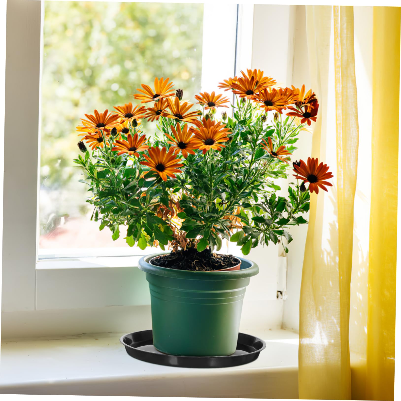 Toddmomy 10piezas Fondo del Recipiente De Plástico Platillos para Plantas Bandejas para Macetas Unidades Bandejas Redondas para Agua para Jardín y Contenedores para Plantas