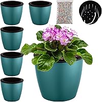 Vista 19 de Planterhoma Macetas de riego automático de 5 pulgadas para plantas de interior, 6 paquetes de macetas de violeta africana con indicador, maceta
