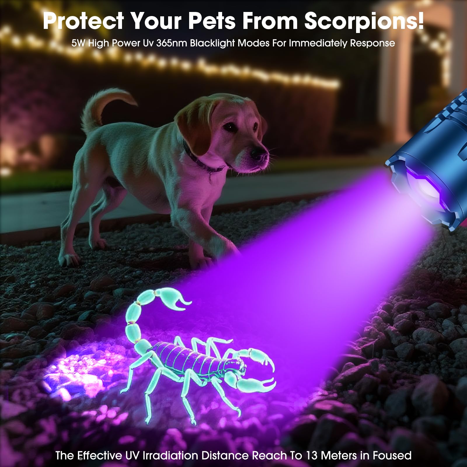 Linternas de luz negra para detección de orina de mascotas, luz negra UV y linterna de lúmenes altos, recargable, impermeable, linterna LED UV táctica para curado de resina, escorpión, camping, azul