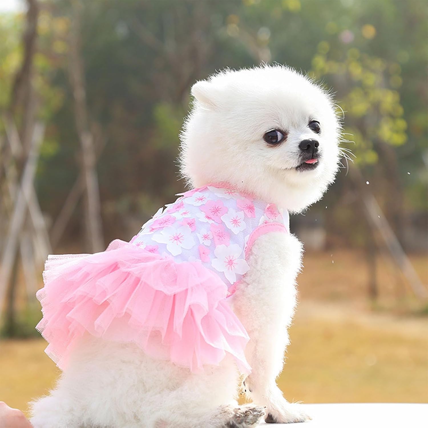Stylish Pet Clothing Set - Trendy Dresses & Skirts for Small to Medium Dogs & Cats, All-Season Wear