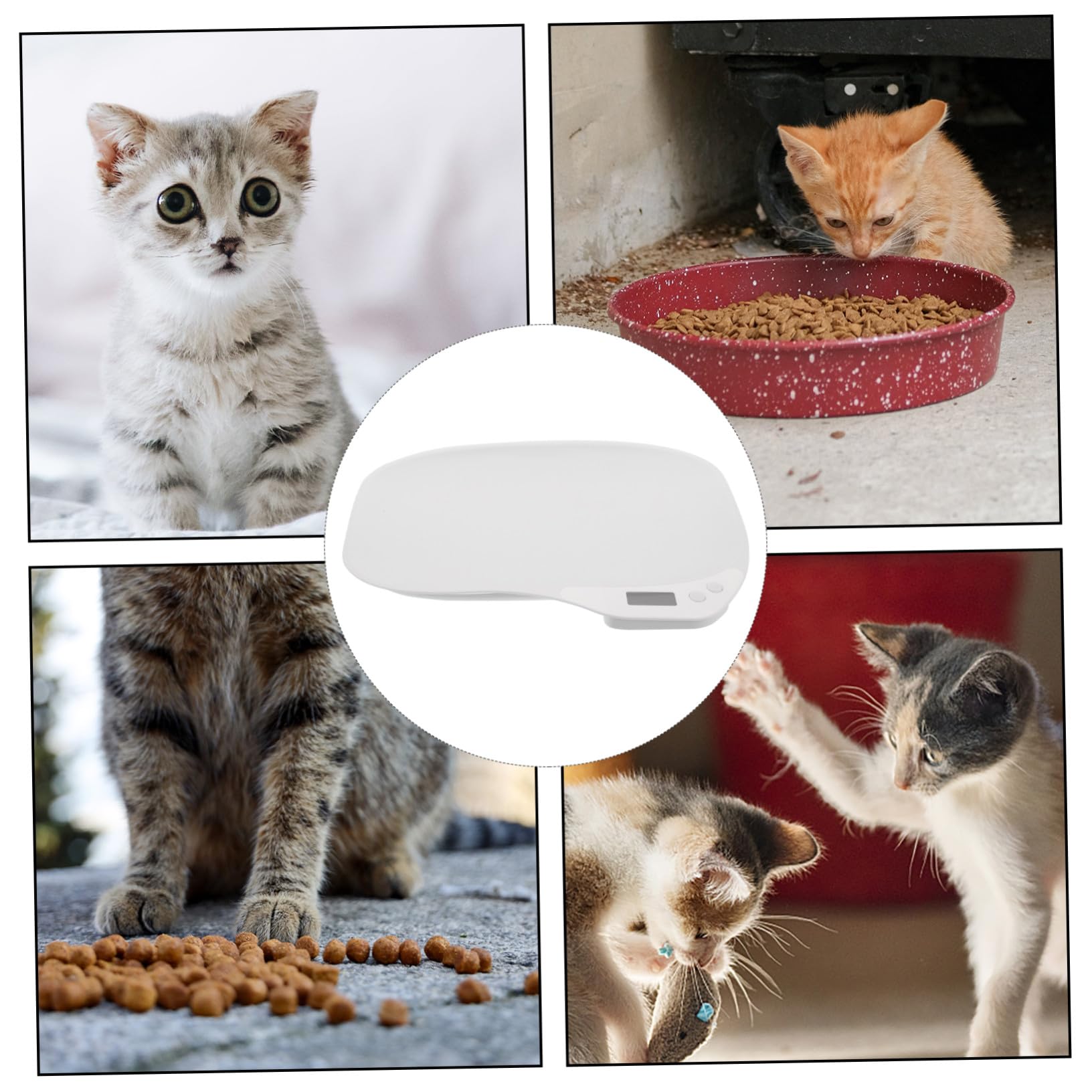 ifundom Báscula Digital Material Abs Blanco para Mascotas Sensores de Alta Precisión y Resultados Estables Adecuado para Uso en Casa o Clínica Veterinaria para Uso en Casa o Clínica Veterinaria