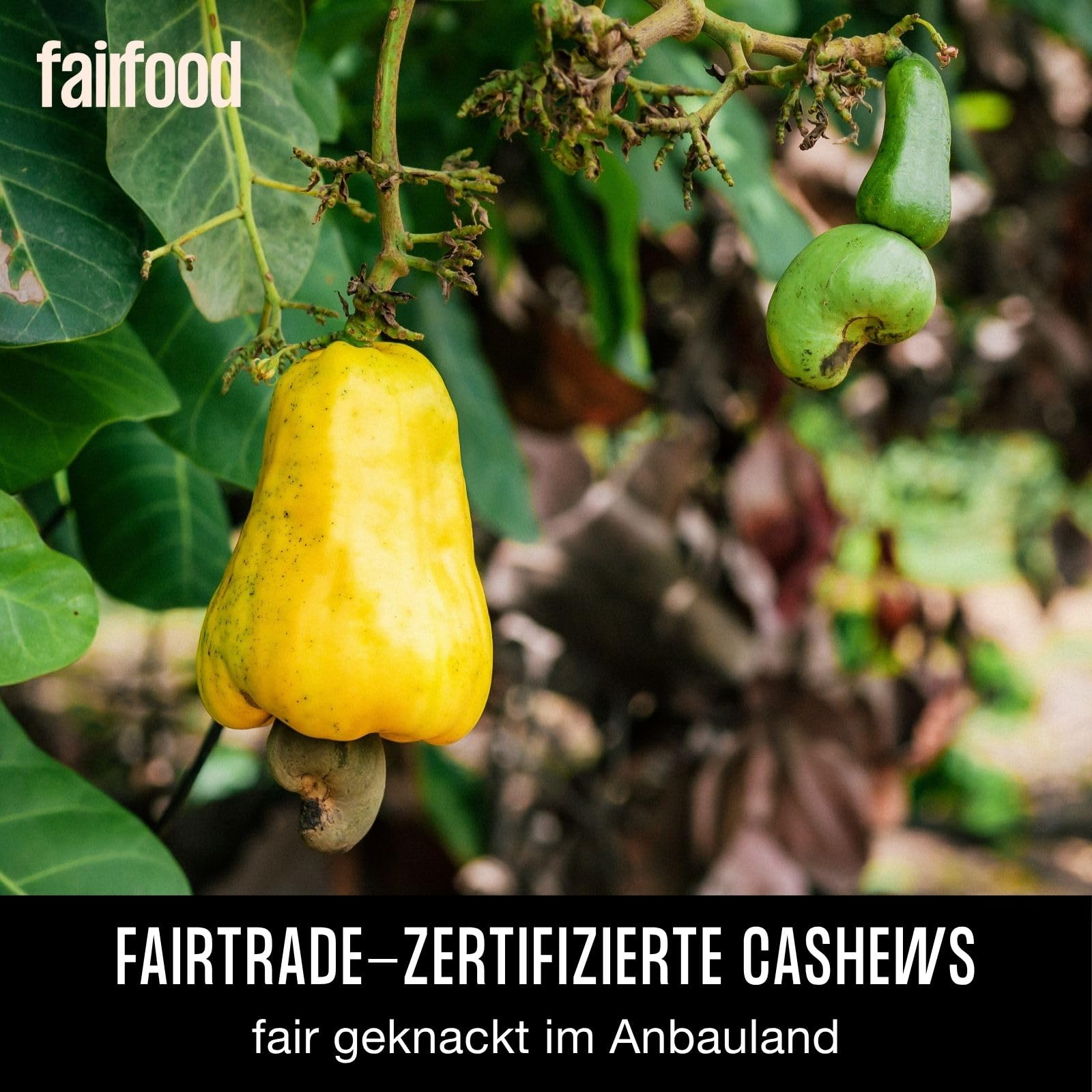 fairfood Freiburger Nuss-Mix geröstet & gesalzen (500 g) – Bio, Fair gehandelt & Vegan – Nussmischung mit Cashews & Mandeln – Ohne Öl geröstet in eigener Manufaktur