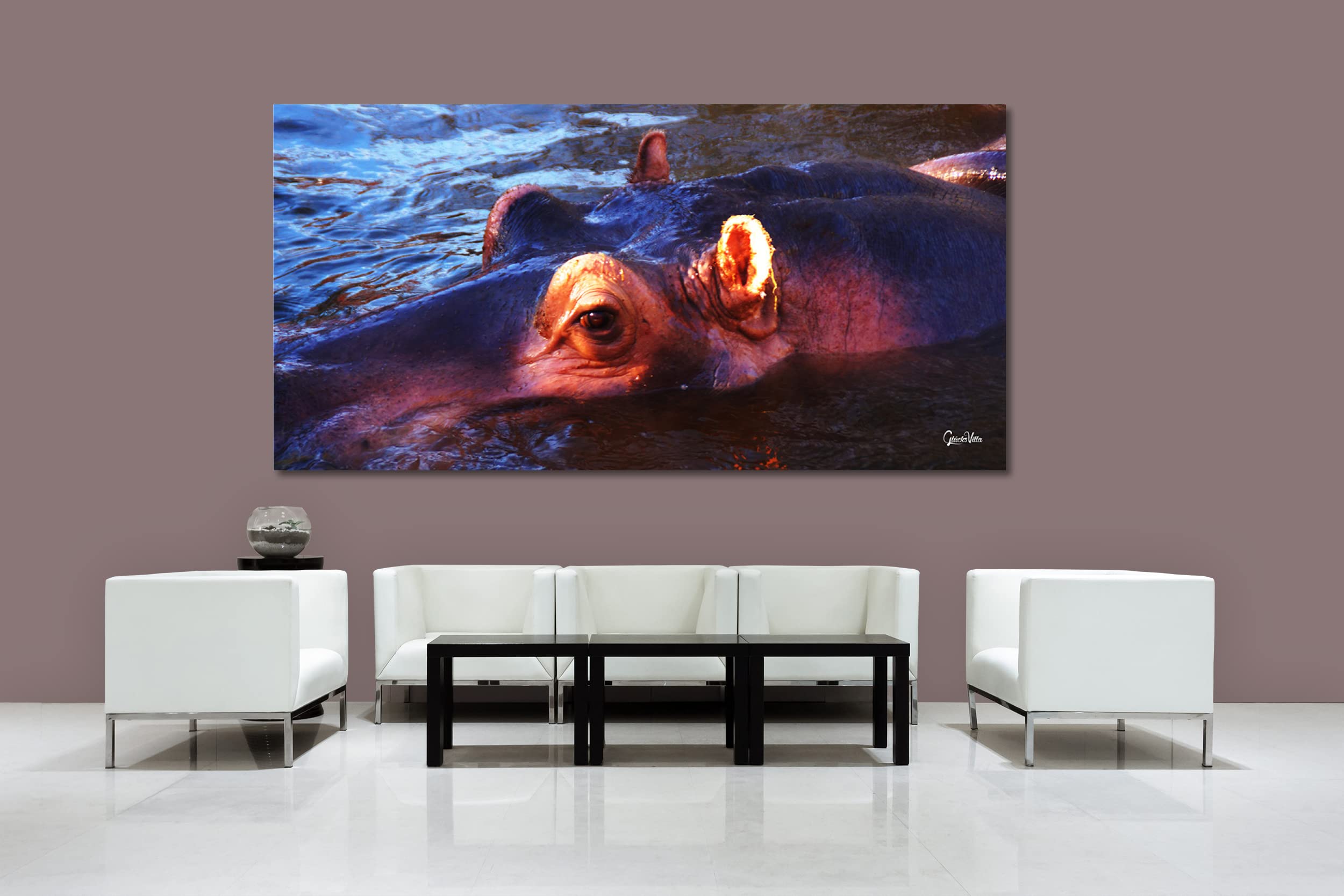 Glücksvilla - Nilpferd 1 (Leinwand-Bild 2 cm, 80 x 40 cm) | div. Maße - aus DE - Kunstdruck Deko Wandbild quer - Wildnis Afrika Natur Tier Hippo