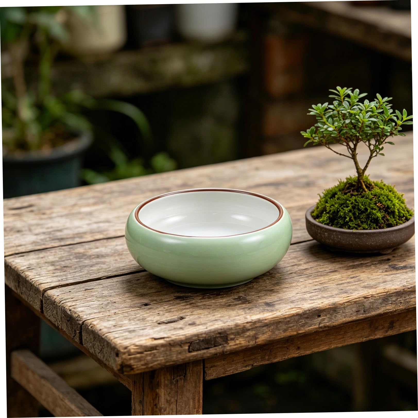 Toyvian Contenitore in Ceramica per Piante Acquatiche Grande Apertura, Design Rotondo Sobrio Opaco, per Coltura fuori Suolo e Decorazione Indoor