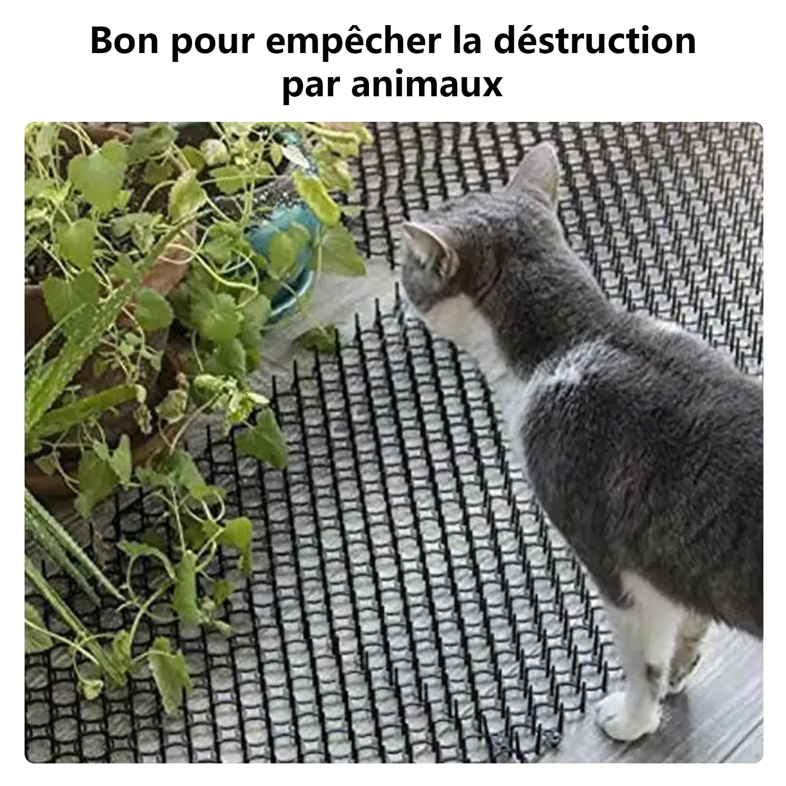 JMIATRY 16 Pcs Anti Chat avec Pointe 20x40CM, Tapis Anti Chat, Tapis Anti Chat avec Piquets pour Jardin, Clôtures, Canapé