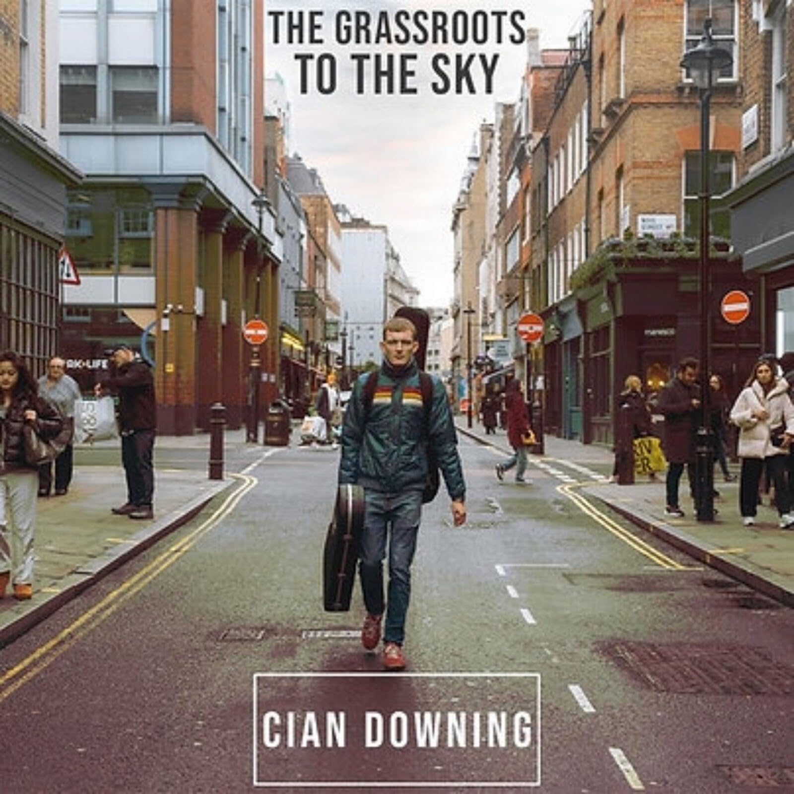 The Grassroots To The Sky [VINYL]