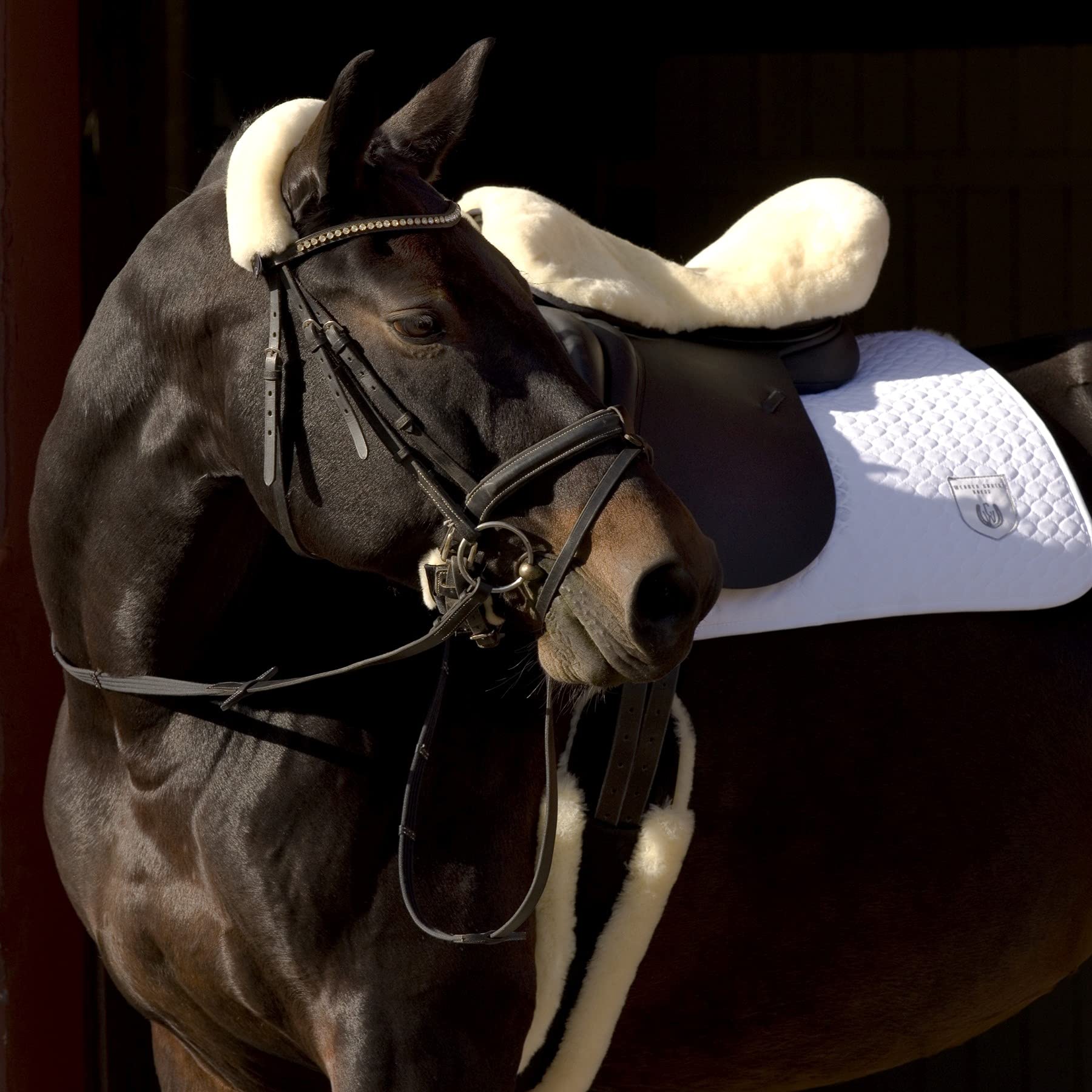 CHRIST Revestimiento de Borrego Natural para Silla Inglesa Cubierta, Zalea o Funda de Piel de Cordero para Montura Inglesa de Caballo. Tallas: Pura Sangre (15,5“-17,5“) y Poni (14,5“-15,5“)