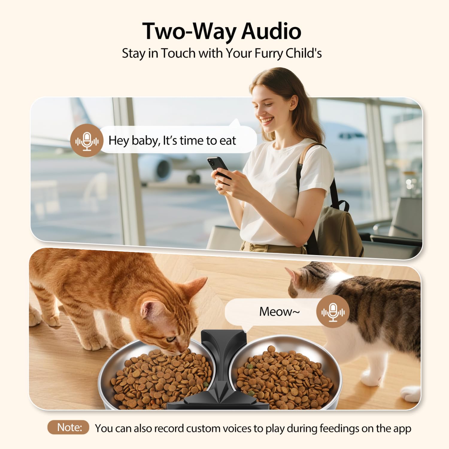 Nobleza Comedero Gato Automático 6L con Cámara 1080P 120°: App Control, WiFi 5G/2.4G, Audio Bidireccional, Llamadas Mascotas, Detección Movimiento + Sello Hermético ¡Control Remoto Total!