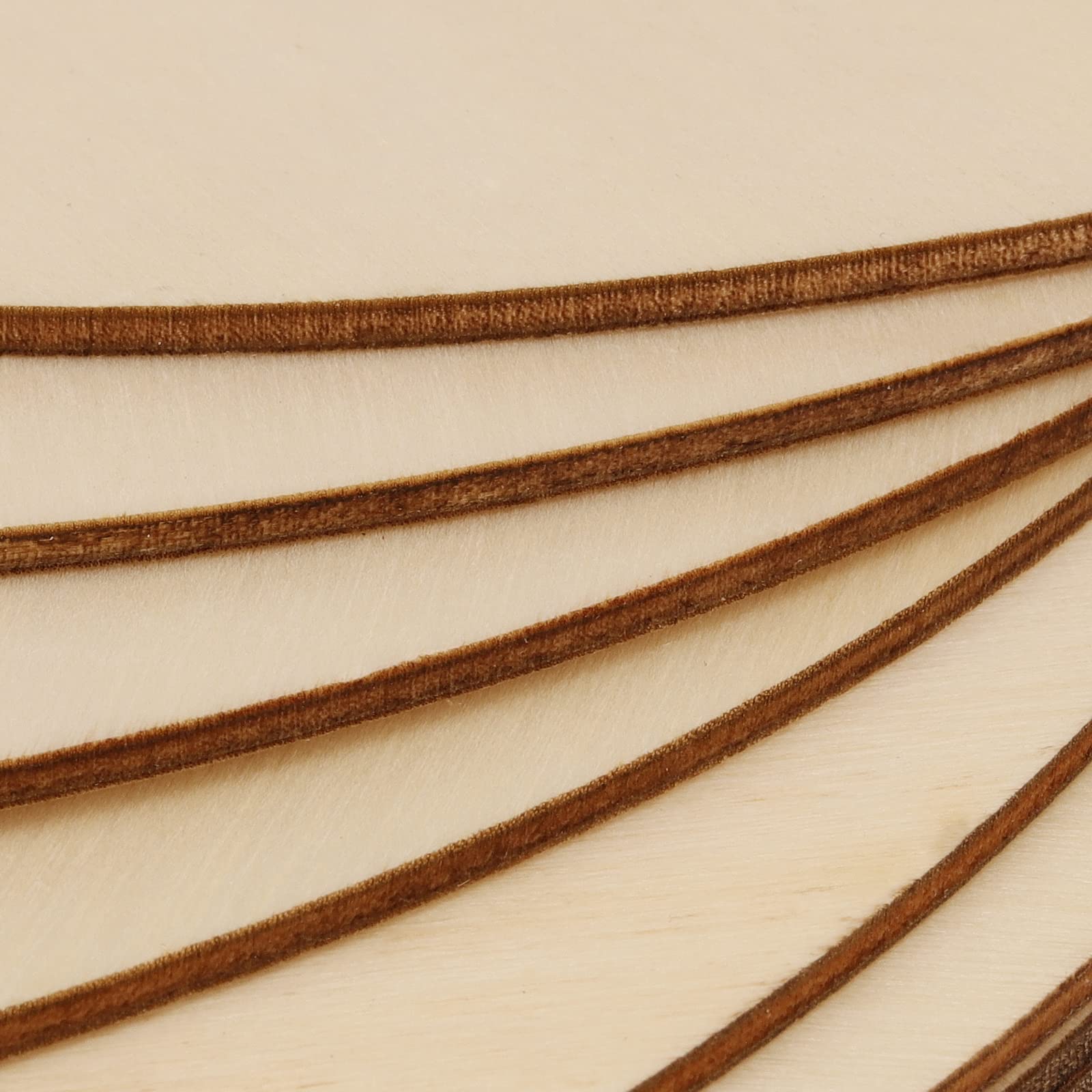 24-Pack 10 Inch Unfinished Wood Circles - Blank Wood Rounds For Crafting