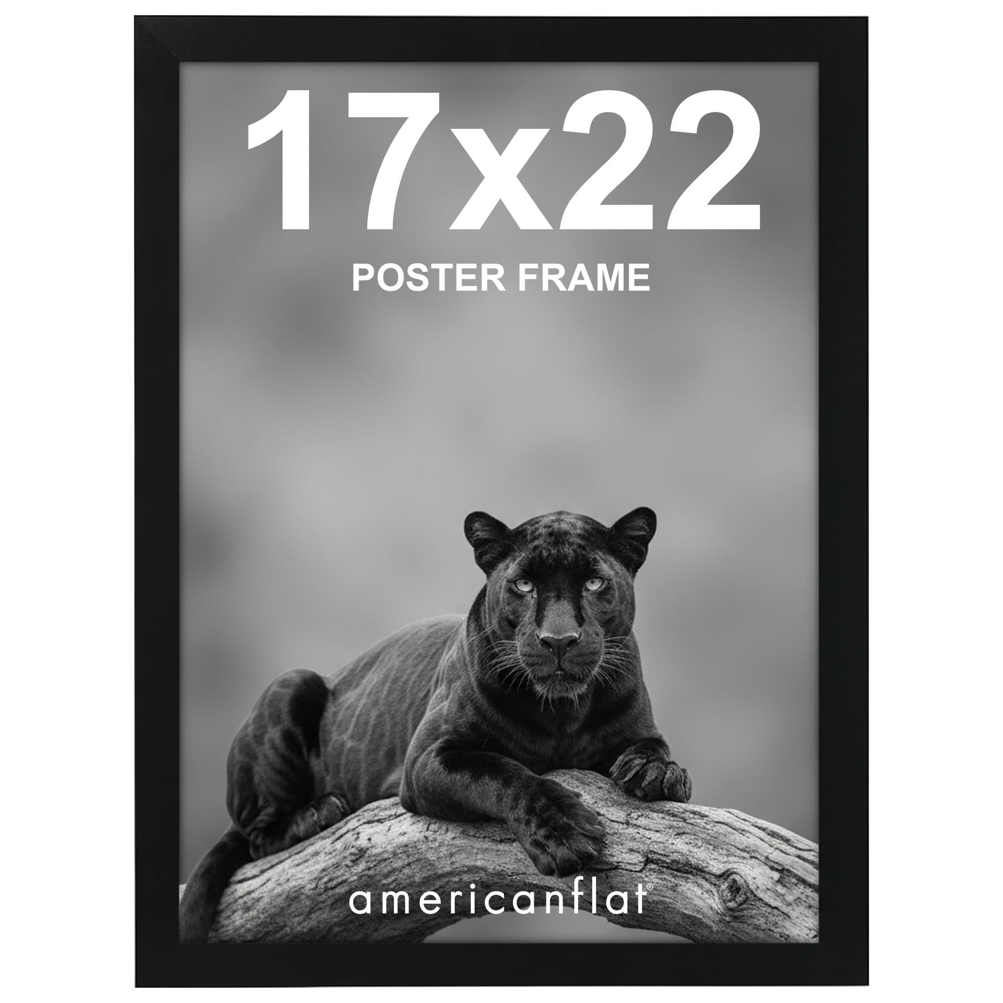 Americanflat 17x22 Poster Frame