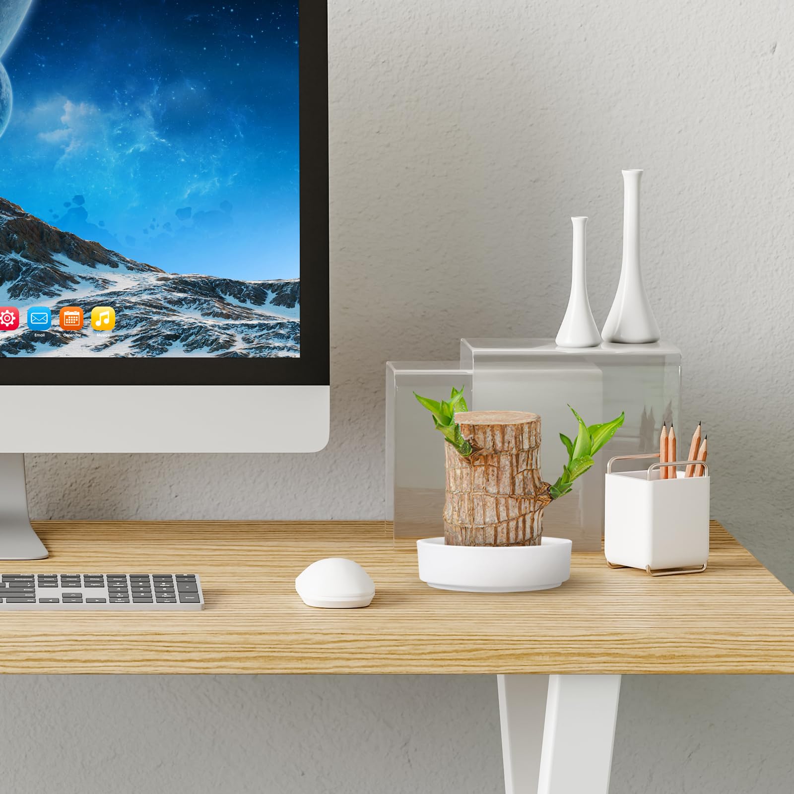 2 Pcs Brazilian Wood Potted Plants Ceramic Tray Holder for Indoor Desktop Decoration, 10 Inch Plant Saucers for Drip and Water Catcher