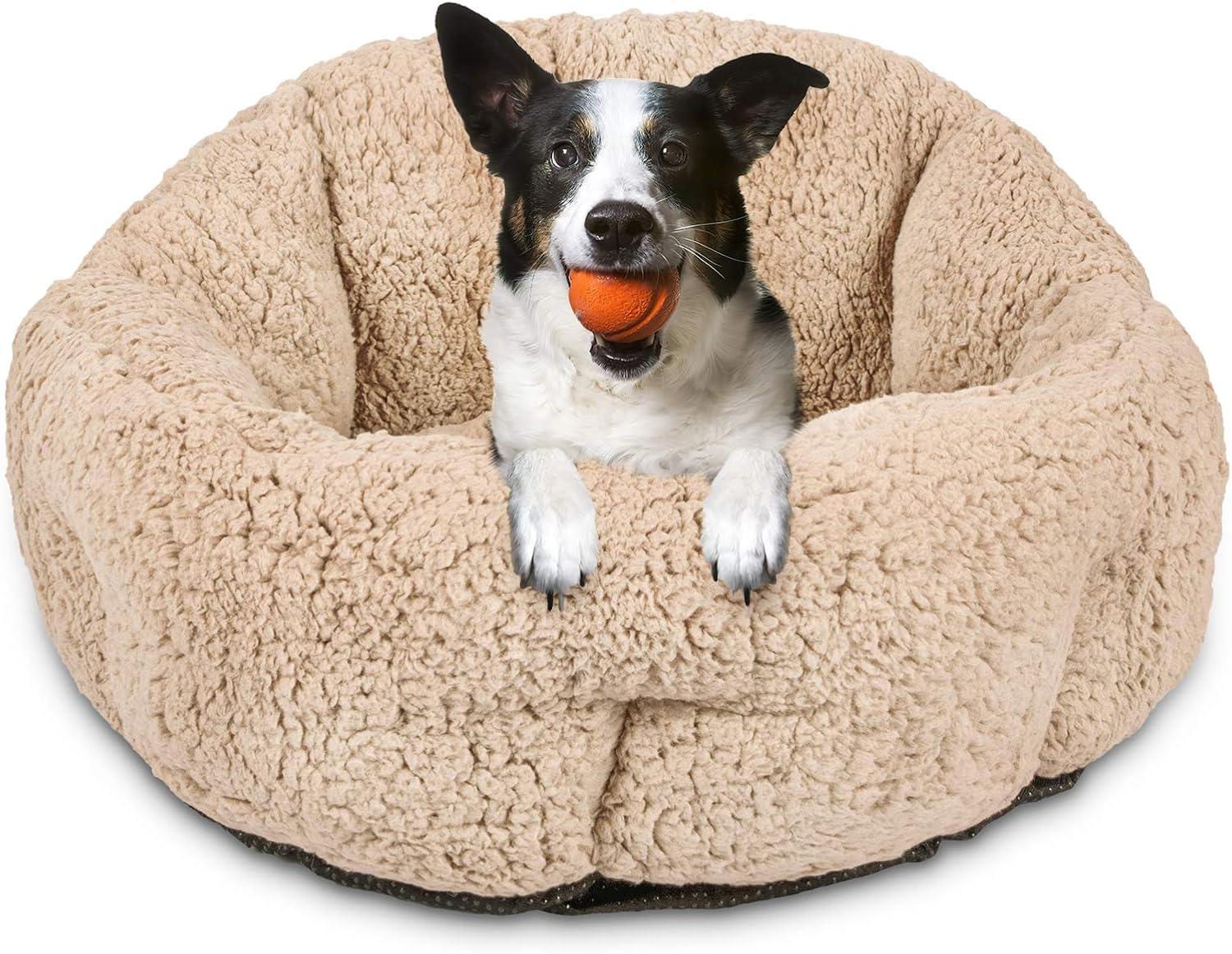 FURTIME Small Dog Bed & Cat Bed, Round Cat Beds for Indoor Cats, Ultra Soft Washable Plush Calming Dog Bed, Self Warming Kitten Puppy Bed with Anti-Slip Bottom High Walls Design (Jumbo(24"), Beige)