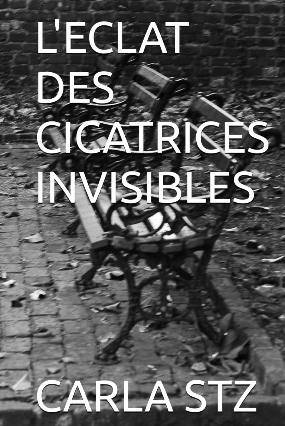 L'ECLAT DES CICATRICES INVISIBLES (Les Voies de l'Ombre)