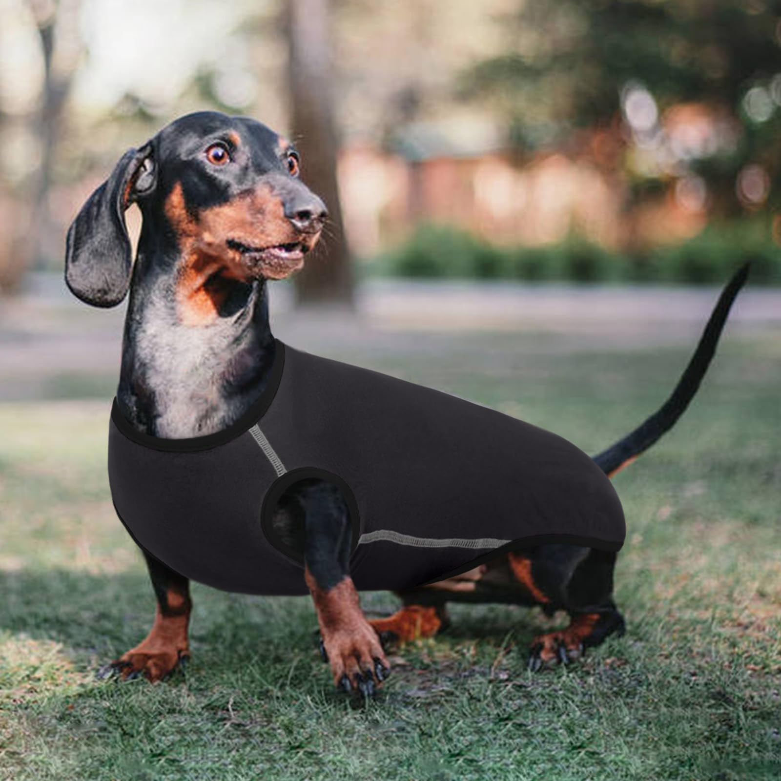 Maglione Per Cane Bassotto, Maglietta Per Cani Confortevole per Interno o Esterno - Grigio, XS