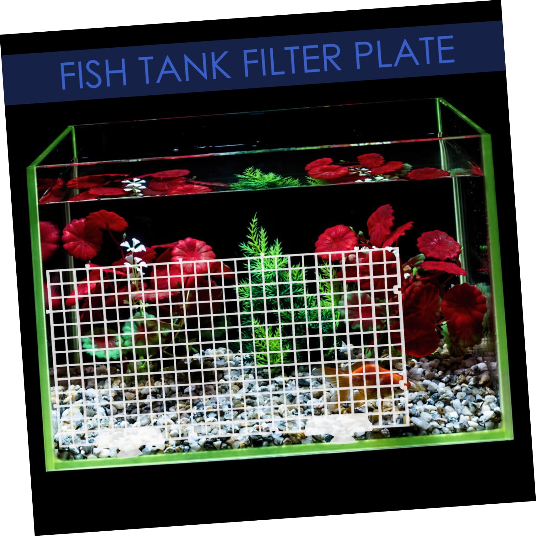 BESPORTBLE 3 Juegos Placa de Aislamiento de Tanque de Peces pecera de plastico Bandeja divisoria de Rejilla de plástico Placa de separación de plástico Placas filtrantes Acuario