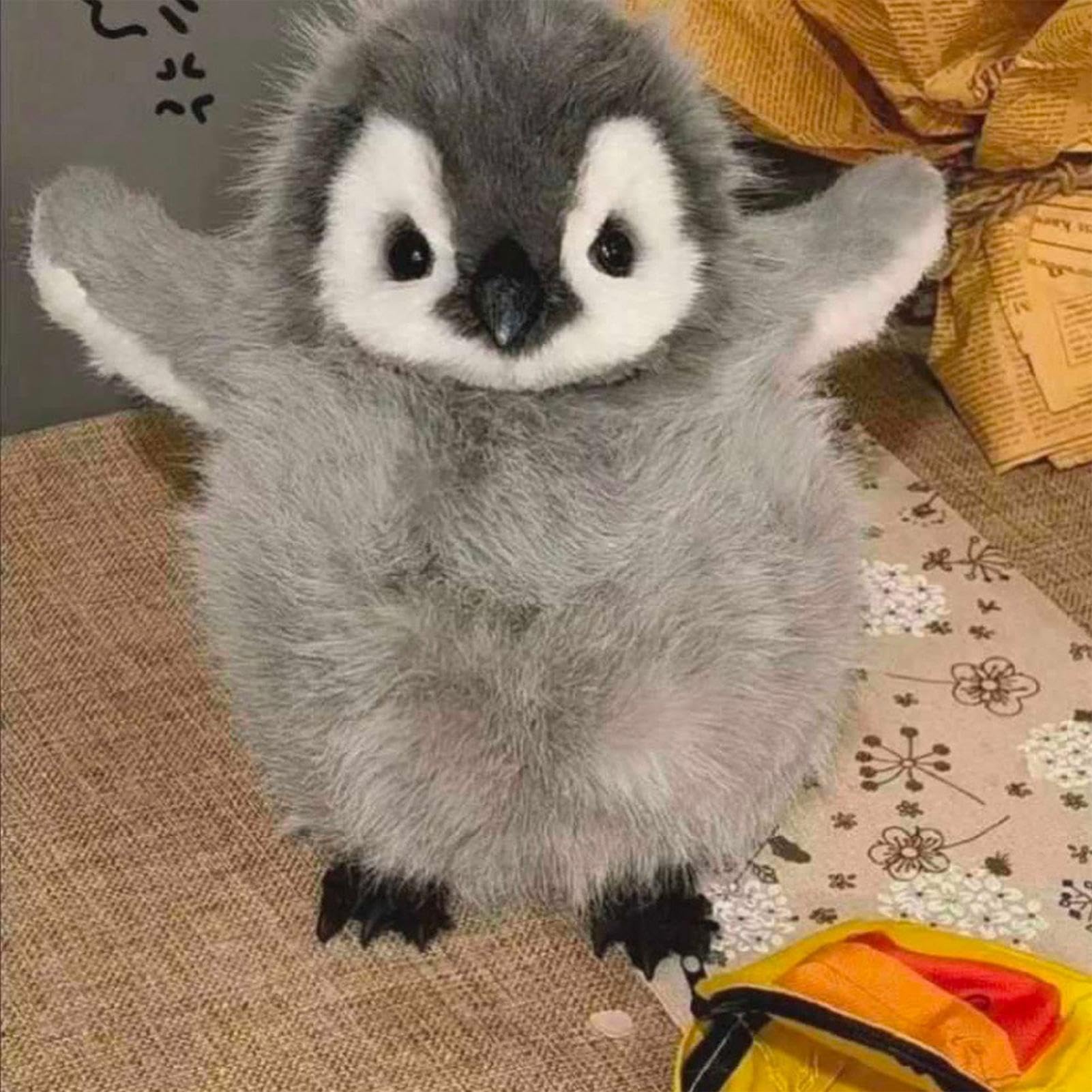 Amazon.co.jp: ペンギン・テディ・ドール - 素敵なペンギン・ペンギン