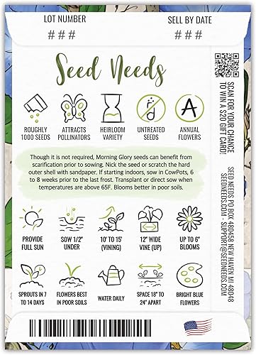 Miniatura 2 de Seed Needs Heavenly Blue Morning Glory Semillas para plantar | Más de 1,000 semillas tradicionales de Ipomoea Tricolor sin tratar | La planta de vid