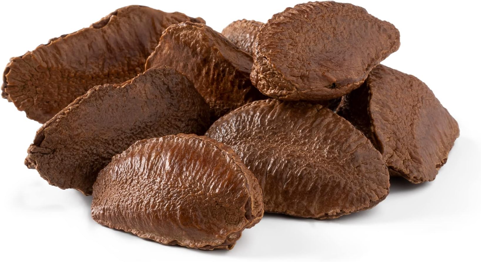 NUTS U.S. – Brazil Nuts In Shell | No Added Colors and No Artificial Flavors | Non-GMO and Natural | Fresh Buttery Taste and Raw | Pasteurized and Polished Brazil Nuts Packed In Resealable Bags (1 LB)