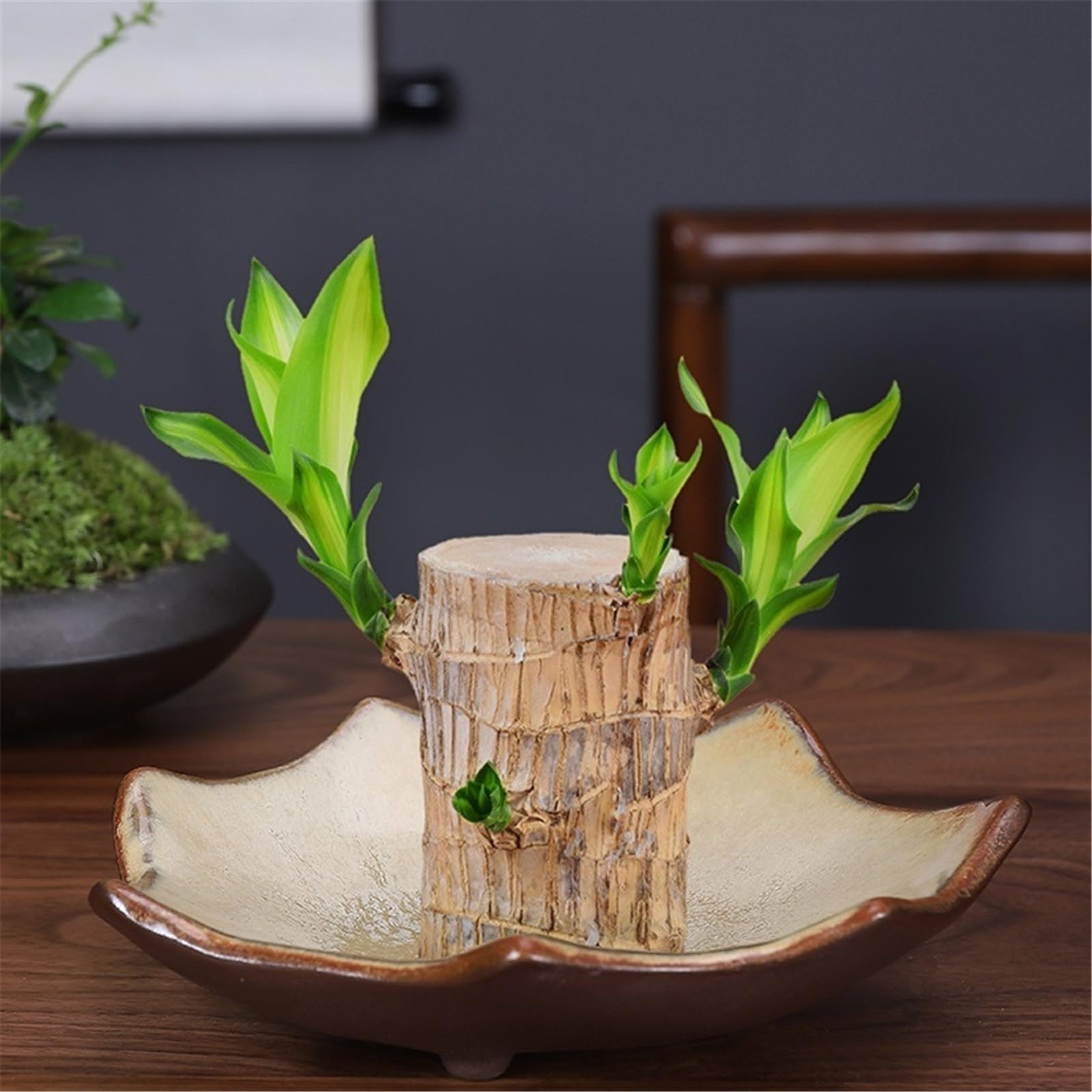 Sottovasi per Fiori Piattino da Fiori Tavolo in Ceramica con Vassoio for vasi Vaso
