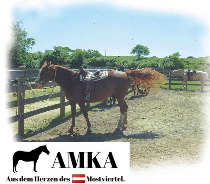 Set Staffe Per Bambini Western - Per Selle O Cavalli In Legno - Foto 3