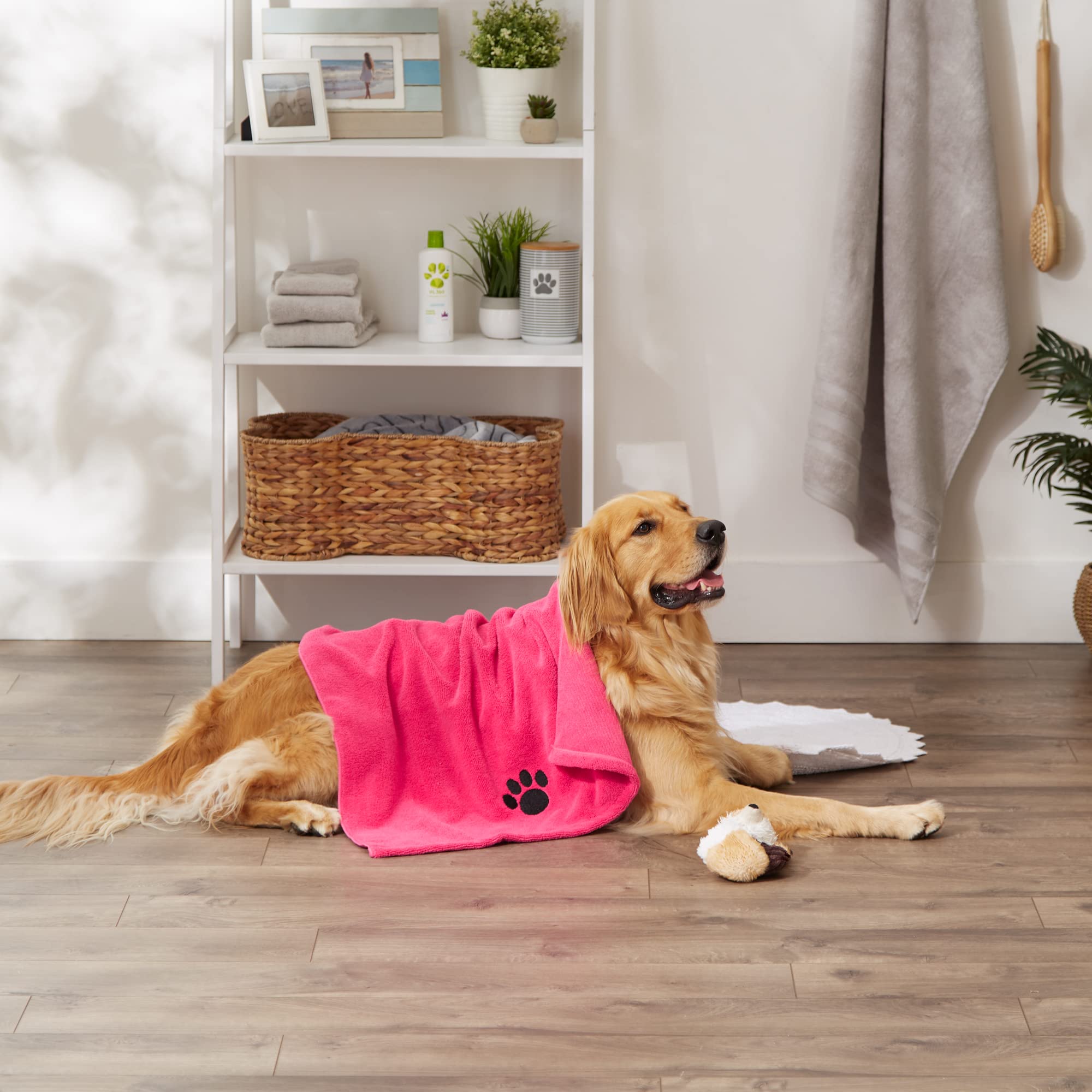 Bone Dry Colección de Toallas de Aseo para Mascotas, Microfibra Absorbente, XL, 41 x 23.5, Sorbete de Frambuesa Bordado