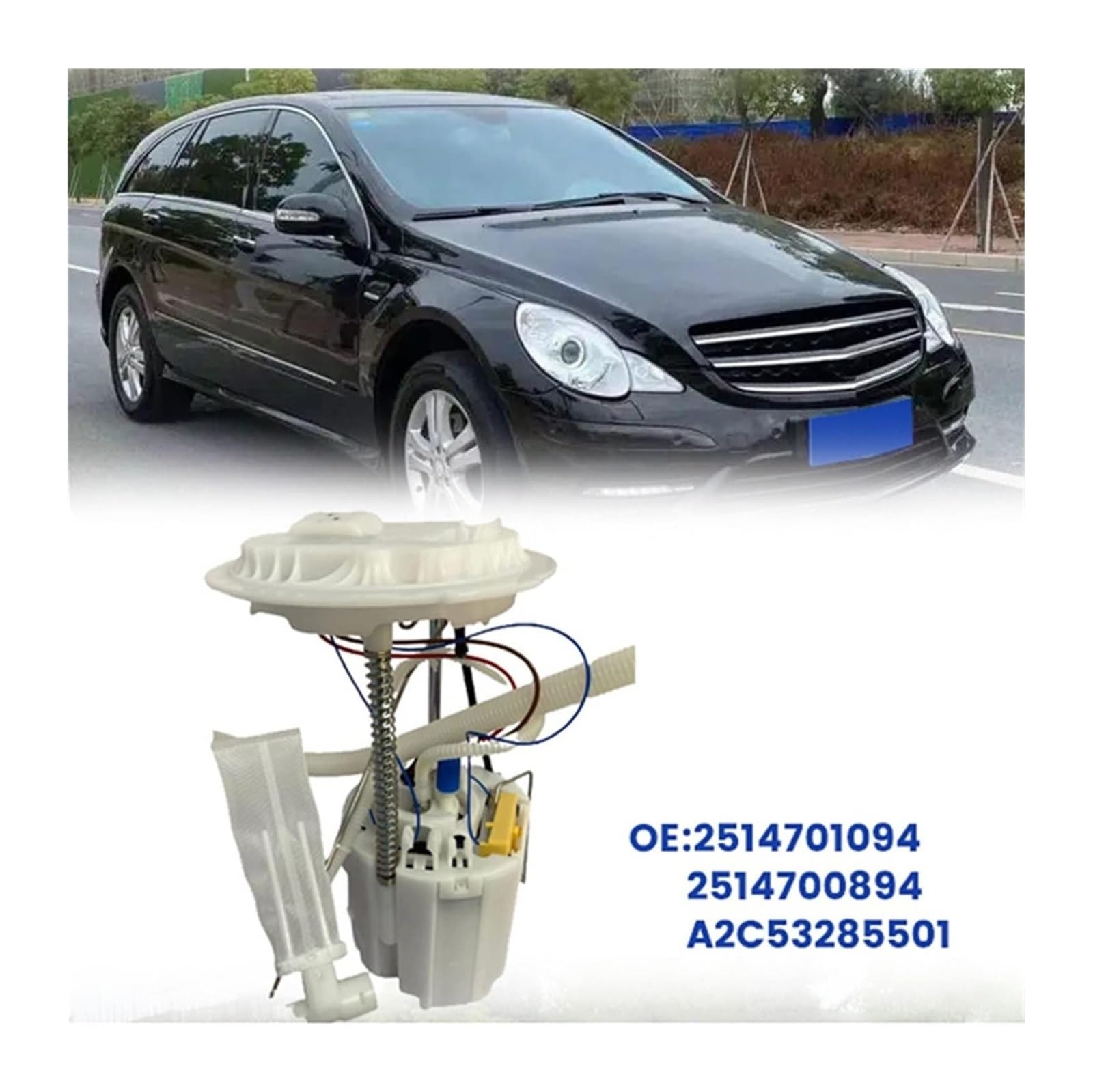 Per Benz W251 V251 R280 R300 R350 R500 R550 05-14 2514700194 Gruppo Pompa Carburante Elettrica Per Auto Pompa trasferimento carburante