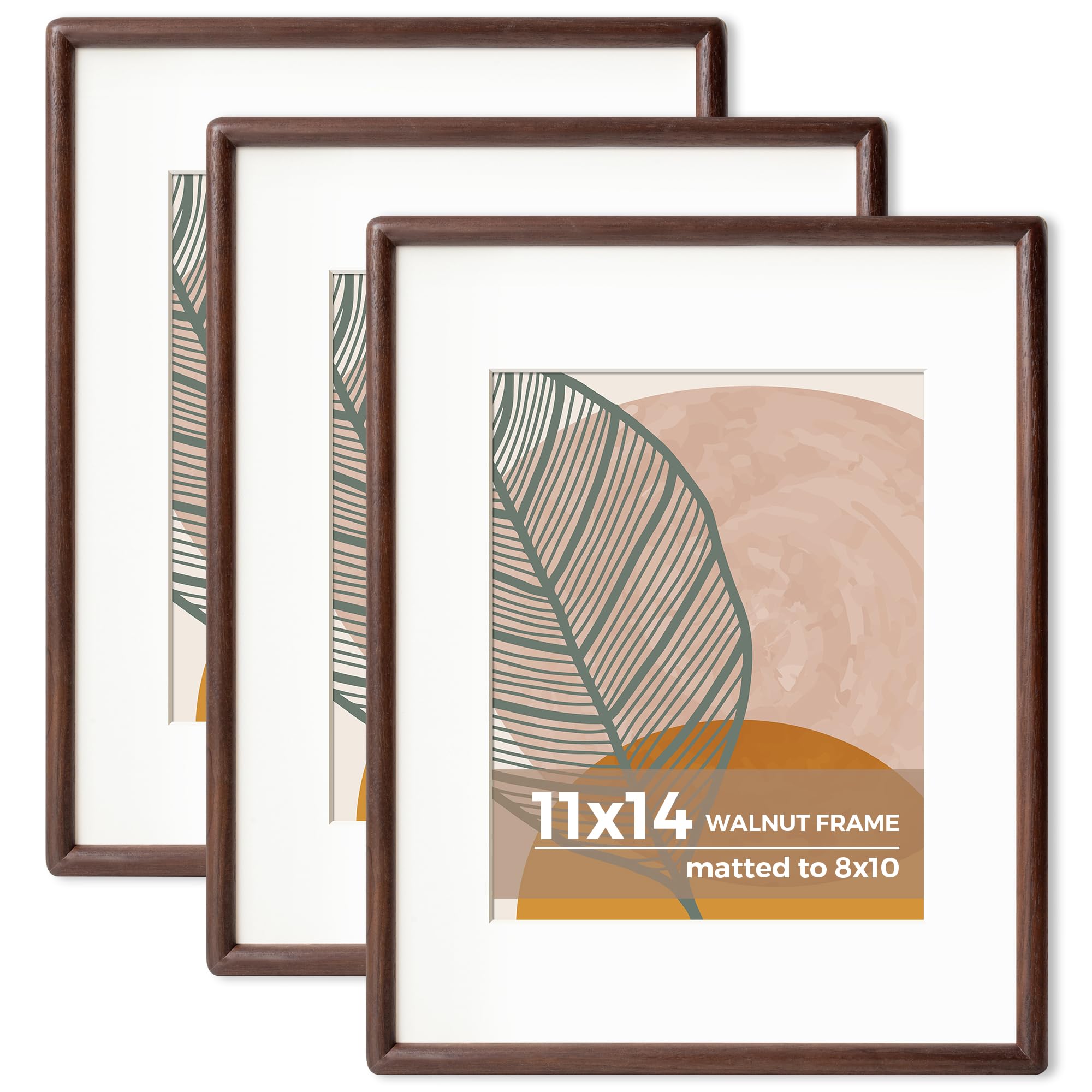 Axeman 11 x 14 Walnut Frame Set of 3 - Rounded Corner 11x14 Picture Frame Matted to 8x10 - Natural Walnut Wood 14x11 Photo Frame with Tempered Glass for Wall Mount Display