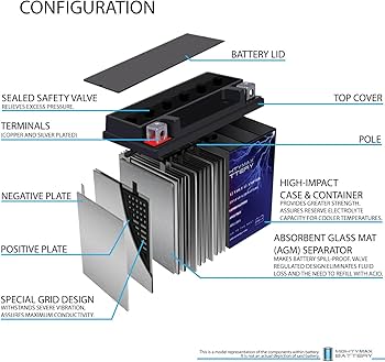 Amazon.com: Mighty Max Battery YTX14-BS Replacement for 2000-05