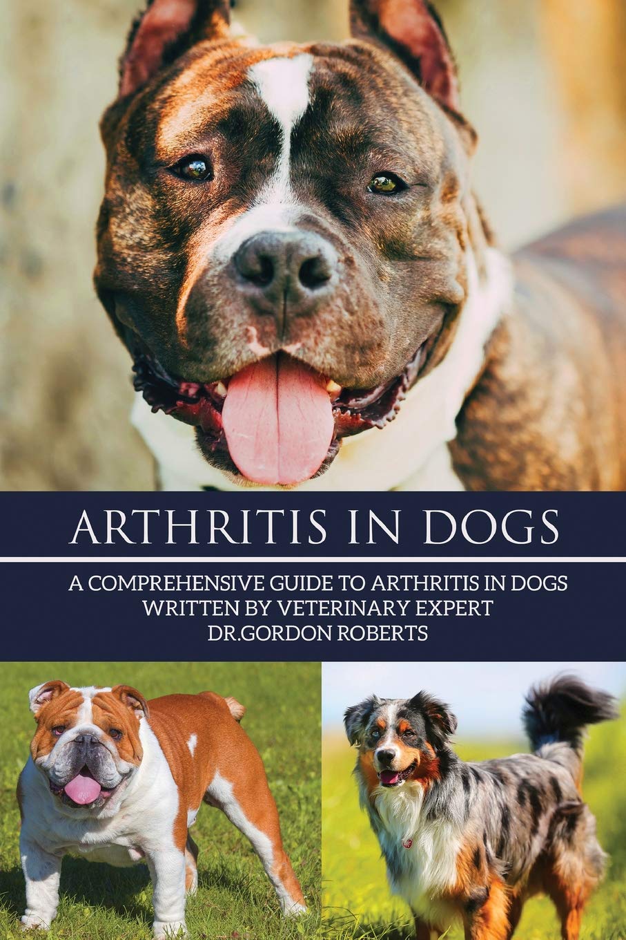 Can Dogs Live With Arthritis