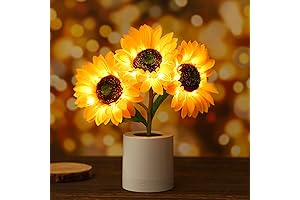 WSYEAR Sunflower Light: Illuminate Your World with Warmth and Beauty