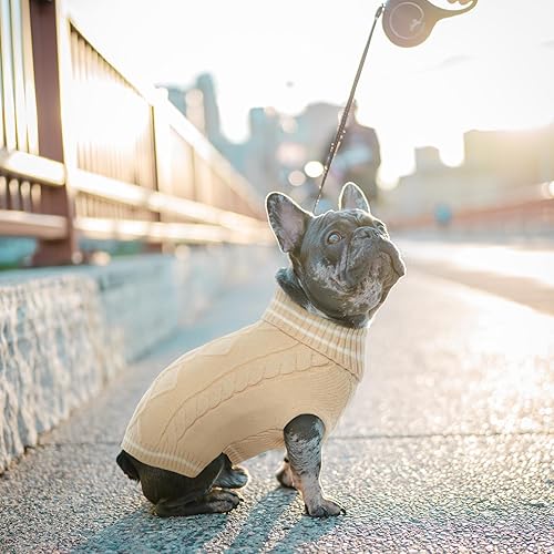 Miniatura 7 de ROZKITCH Suéter pequeño para perro, suéter de punto para clima frío para otoño e invierno, suéter de cuello alto para perro, ropa clásica gruesa y