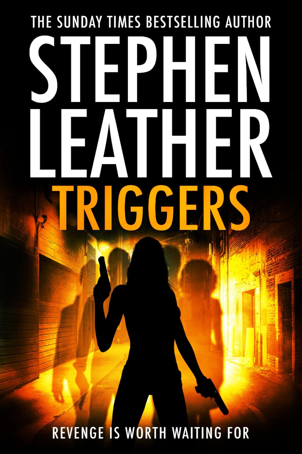 Triggers: Revenge Is Worth Waiting For: 17 (Stephen Leather Novels)