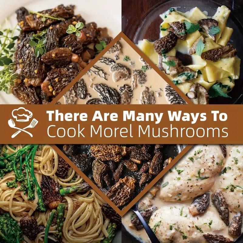 Premium Dried Morel Mushrooms, Grade AAA, Natural Morchella Conica, Gluten-Free, Fat-Free, Sugar-Free 4oz
