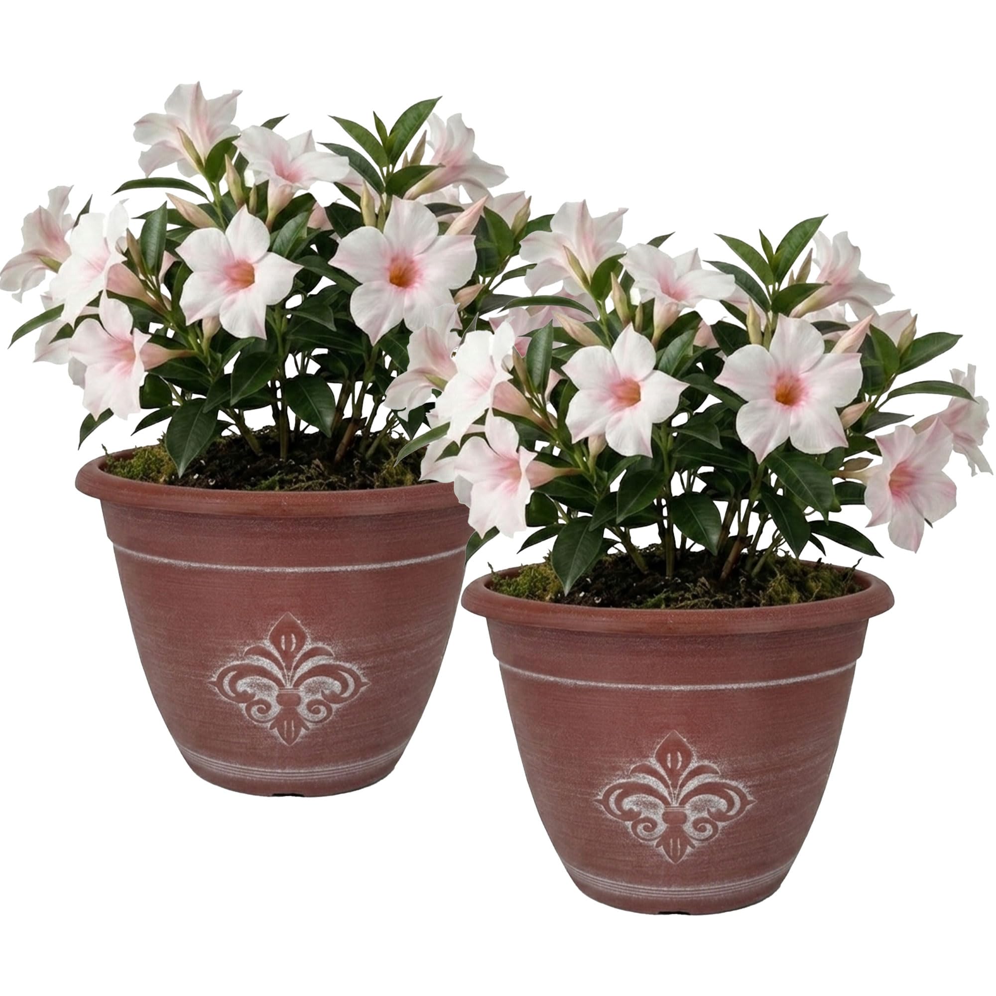 SG Traders Plant Pots Outdoor - Large Garden Planters for Outdoor Use, Durable Fleur De Lys Flower Pots with Drainage Holes, Modern Patio Planters for Garden, Balcony, and Home Décor (Pack of 2)