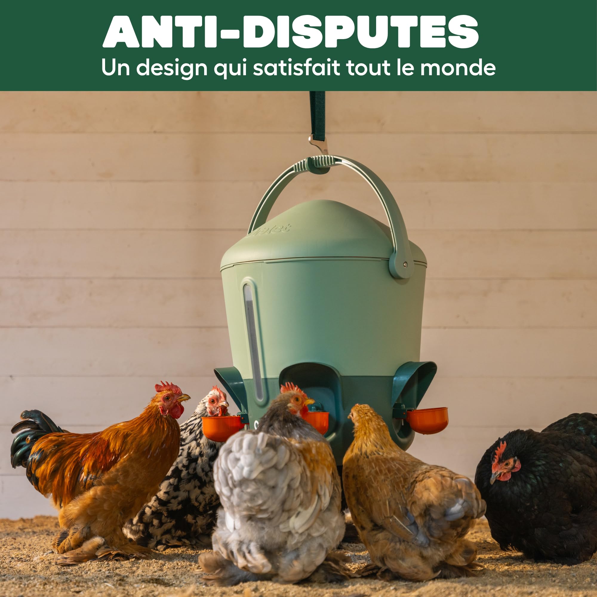 Omlet Abreuvoir isolé pour Poules 11 L | Eau Plus Propre Plus Longtemps | Distribution Automatique Hygiénique | Embouts Tasse et tétine Inclus | sans BPA | Vert Sauge