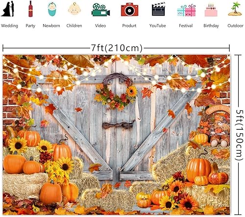 Miniatura 3 de Fondo de fotos de Acción de Gracias de otoño para fotografía, granja, otoño, cosecha, calabaza, hojas de arce, granero, dorr, pancarta, fondo,