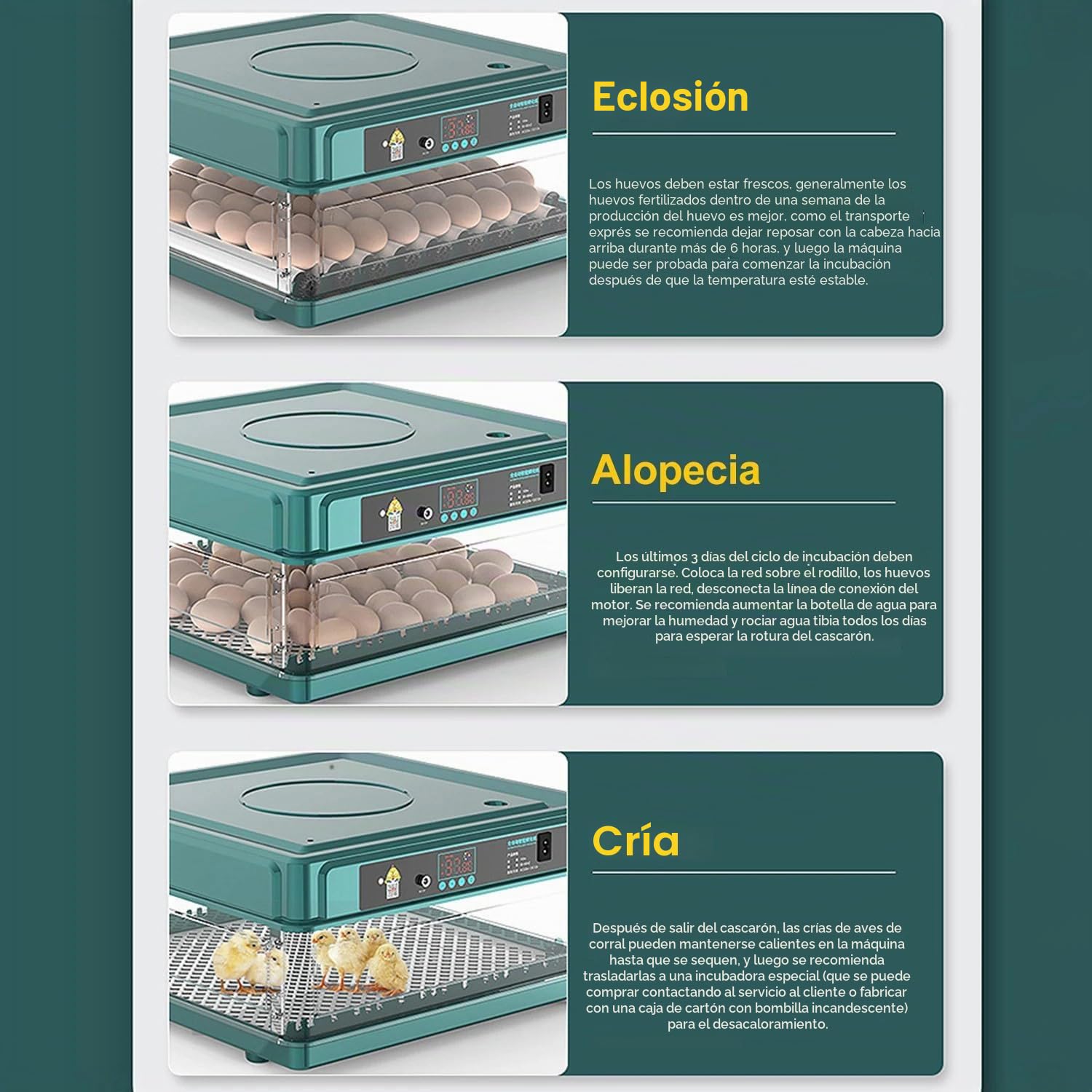 Incubadora Huevos Gallina,Incubadora De 24-36 Huevos Con Volteo Automático De Huevos y Humidificación Automática,Indicador De Humedad y Temperatura,Para Pollos,Codornices,Patos y Gansos