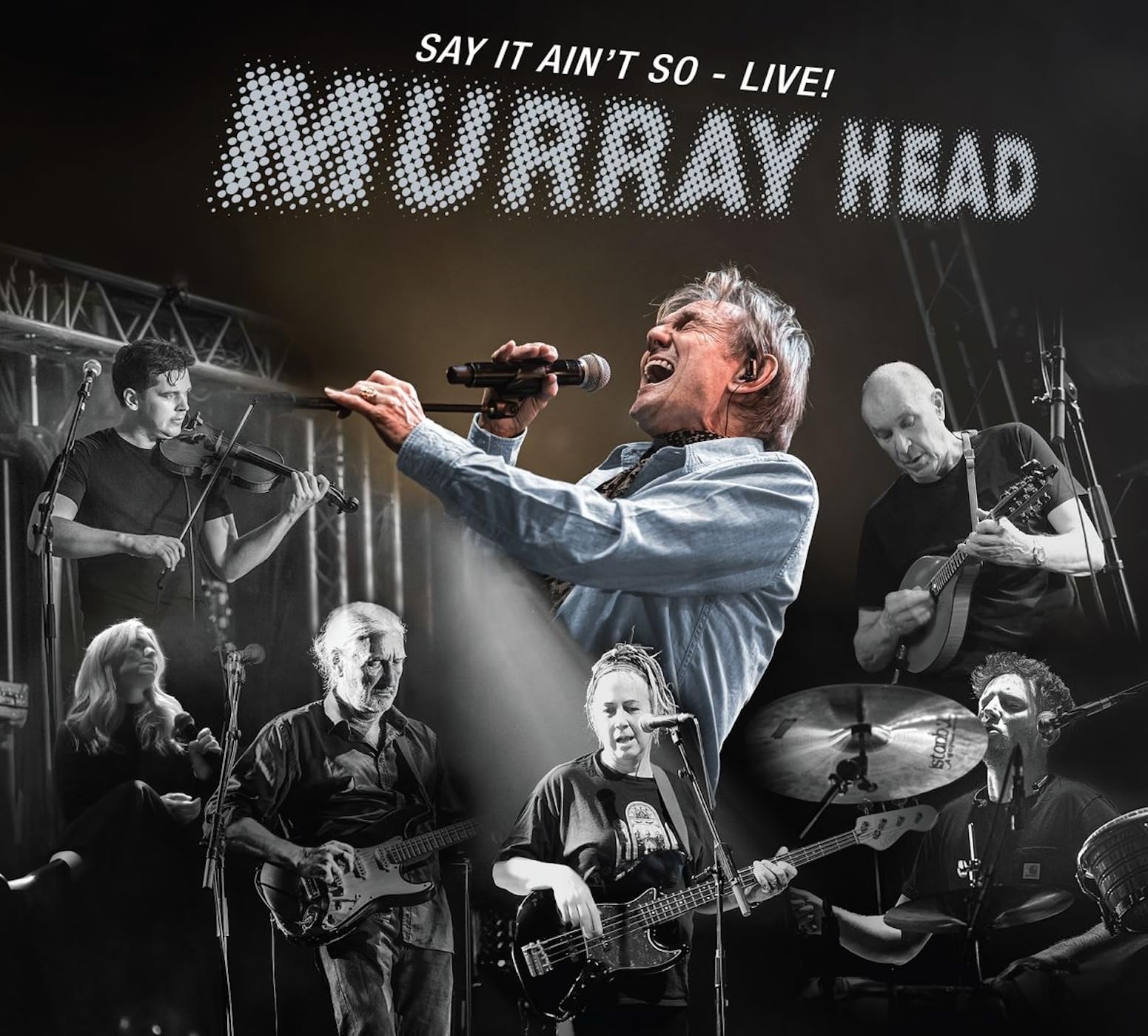Say It Ain't So - Live [VINYL]