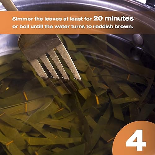 Miniatura 5 de PUFA Soursop - Hojas de graviola de 0.90 onzas (0.88oz.) hojas secas enteras y orgánicas para hacer té, apoya todo el sistema inmunológico natural,