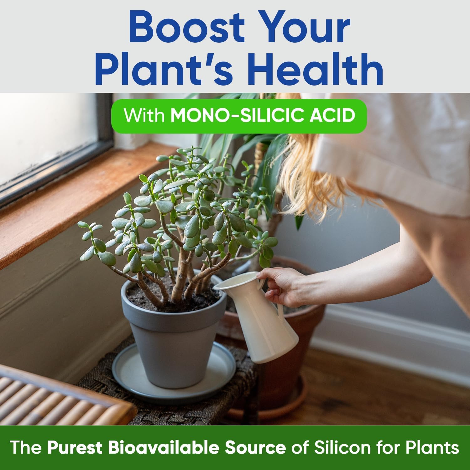 Si-Tech Silica, Mono-Silicic Acid Plant Nutrient Solution with Proprietary Technology (16 fl.oz) - Image 2