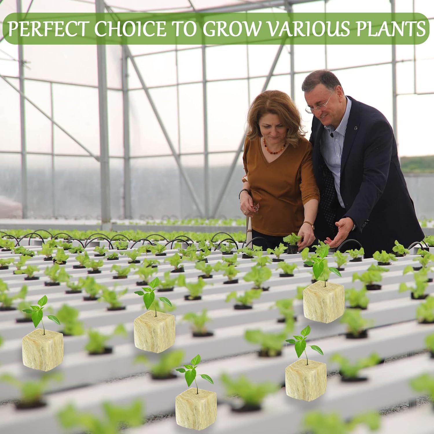 Legigo 1.5 Inch Rockwool Cubes for Hydroponics Seed Starter, Rock Wool Planting Cubes Hydroponic Garden Grow Plugs for Soilless Cultivation Plants Cutting Germination Clone(4 Sheet, 196 Plugs)