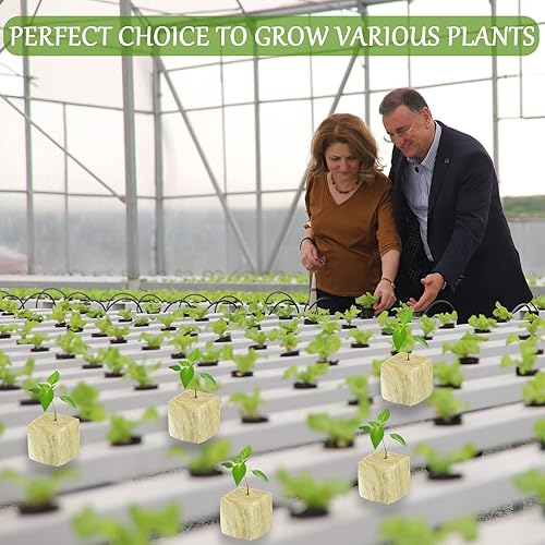 Vista 17 de Legigo Cubos de lana de roca de 2 pulgadas para iniciadores de semillas hidropónicas, cubos de plantación de lana de roca, tapones hidropónicos de 2
