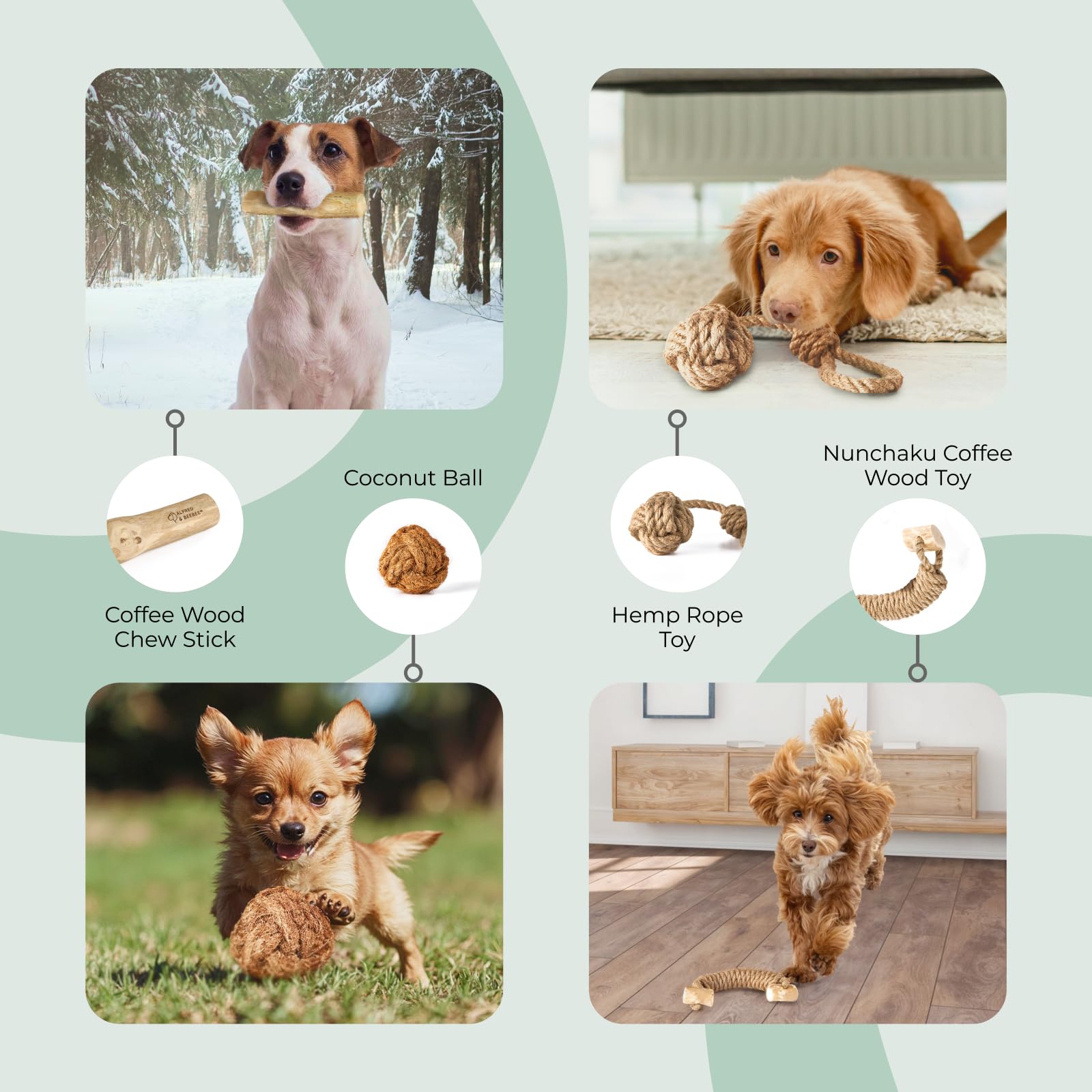 Alfred & Beebee Juguetes dentales y masticables de madera de café natural para perros, paquete de 4, S-M | Masticable y juguete de madera de café, paquete de 4. 100% natural, no tóxico y ecológico, para perros pequeños y medianos