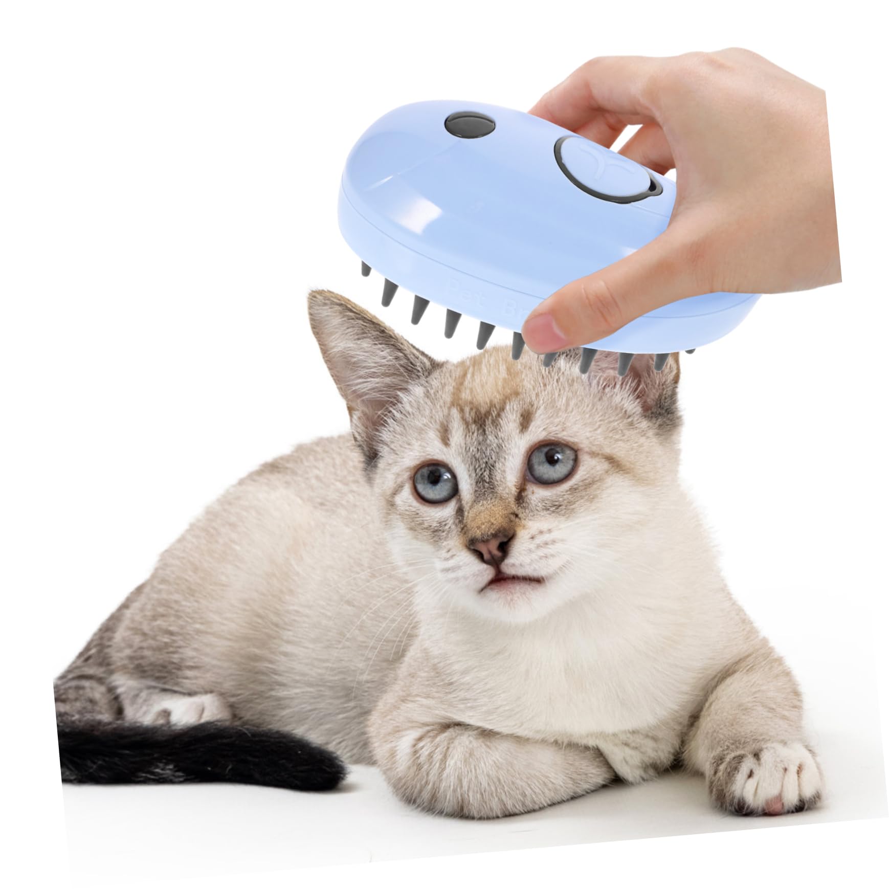 BESPORTBLE 3pièces Brosse à Vapeur Auto-nettoyante Pour Animaux Brosse De Massage Multifonctionnelle Pour Toilettage Outil Pratique Pour Éliminer Poils Et Masser